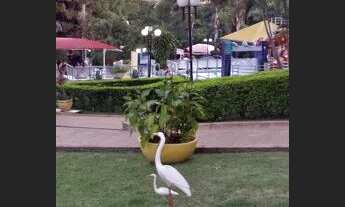 Imagem 4: Apartamento para venda tem 30 metros quadrados com 2 quartos