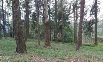 Imagem 2: Lindo terreno de 597m² no Condomínio Morada dos Lagos, Aldeia da Serra