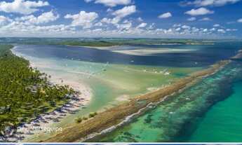 Imagem 7: Lgs- carneiros-stud1io