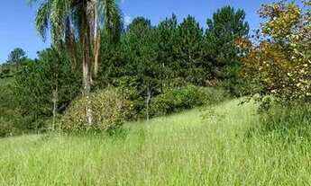 Imagem 4: Vende-se lote com ótimo acesso e vista para área verde e lago