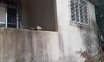 Imagem: Casa em Vargem Alegre com Quintal