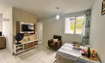 Imagem 2: JARAGUá DO SUL - Padrão - Rau