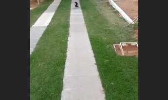 Imagem 4: Chácara rústica com piscina em Ipatinga