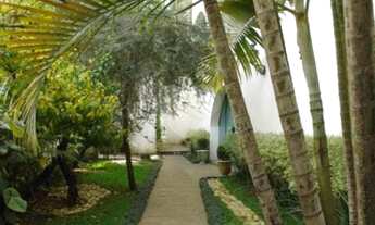 Imagem 7: Casa-São Paulo-JARDIM SÃO BENTO