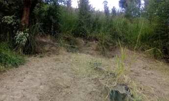 Imagem 2: Terreno Franco da Rocha