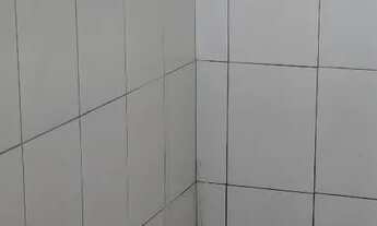 Imagem 3: Chácara a venda