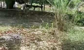 Imagem 5: Lote em Lagoa Redonda