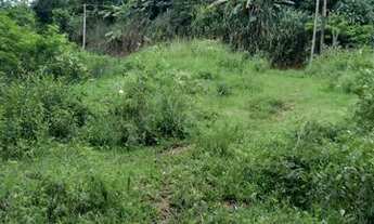 Imagem: TERRENO EM BASILIO SUBIDA DE BRAÇANA