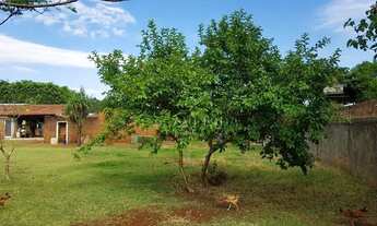 Imagem 6: LONDRINA - Terreno Padrão - Conjunto Cafezal 1
