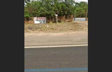 Imagem 4: VENDO TERRENO NA BEIRA DA BR 135 KM 19 - mede 33 hectares