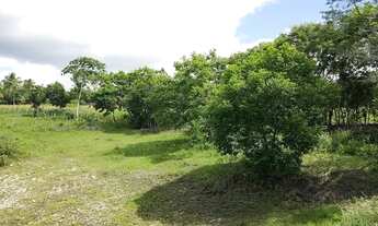 Imagem 5: SÍTIO NA CIDADE DE AREIA BRANCA/SE, COM RIO NO FUNDO PARA VENDA