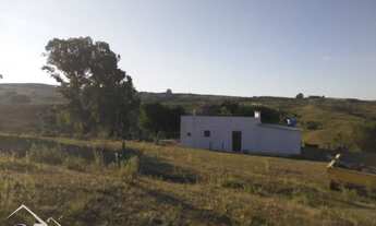 Imagem 4: Pinheiro Machado - Sítio - Zona Rural