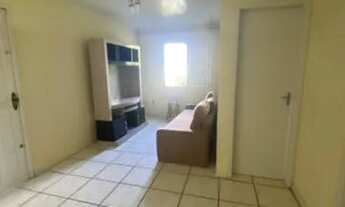 Imagem 3: Alugo casa 3 quartos trindade - lado UFSC