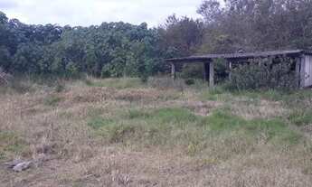 Imagem 5: Terreno para Venda - 0m², 0 dormitórios, Ponta Grossa