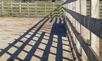 Imagem 7: Granja com 17 hectares na região de mente Alegre