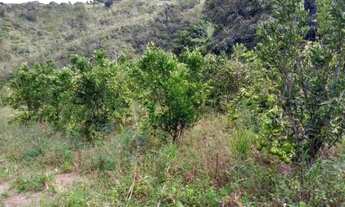 Imagem 7: Sítio em Alagoa Nova-PB