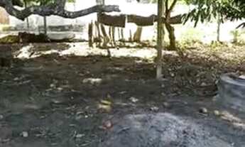 Imagem 4: Lote em Lagoa Redonda