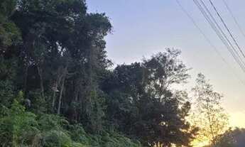 Imagem 4: Vendo de barbada terreno na zona rural!