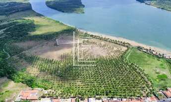 Imagem 2: Área 100% com 28 hectares às margens do Rio São Francisco, em Piaçabuçu-AL