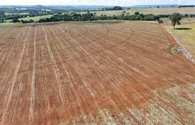 Imagem: Fazenda em pontalina-go