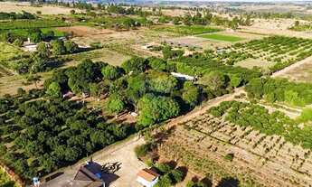 Imagem 3: Chácara com 5 Hectares à Venda Casa Ampla, Produção Agrícola e Localização Privilegiada!