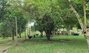 Imagem 4: FAZENDA NO CANTA NA CONFIANÇA III