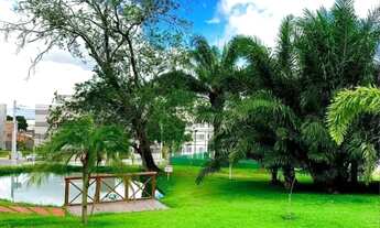 Imagem 4: Tomba aceita contrato de gaveta.