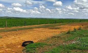 Imagem 14: Fazenda a venda 20.650 hec em Paranatinga MT. 780 milhões