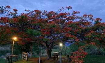 Imagem 2: Sítio em cascalho rico