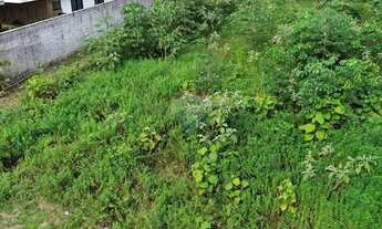 Imagem 4: Terreno em Manaus à Venda!