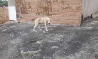 Imagem 6: Vendo casa em Nova Iguaçu