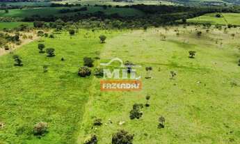 Imagem: Chácara 7,3 alqueires (35,33 hectares)