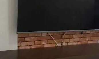 Imagem 4: Apartamento 3 Quartos para Locação Spazio Celebrare