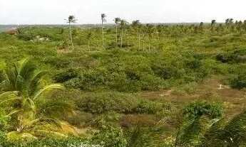 Imagem 3: ATINS/MA: VENDO BEIRA DO RIO