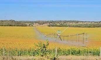 Imagem: Excelente fazenda dupla aptidão com 517