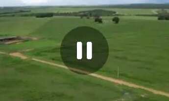 Imagem 5: Fazenda de arrendamento 1.100hec em Itiquira MT