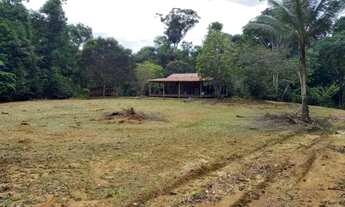 Imagem: Sítio 1.500 x 2.000 em estrada de Balbina