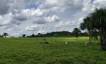 Imagem 5: FAZENDA NO CANTA NA CONFIANÇA III