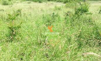 Imagem 3: Fazenda à venda em Ibiquera-BA: 3 Quartos, 2 Salas, 2 Banheiros, 653 Hectares de Área