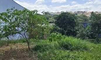 Imagem 7: TERRENO - JARDIM PINHEIROS - SP
