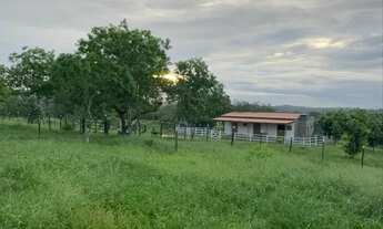 Imagem: Chácara a 8km de Feira