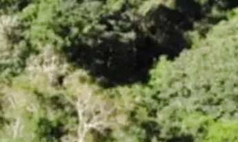 Imagem 2: Lotes para casa de campo no interior de SP