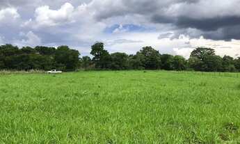 Imagem 6: Fazendinha Plana