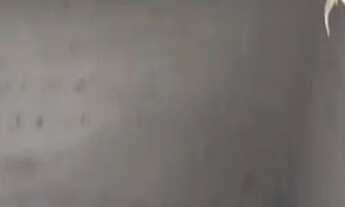 Imagem 6: Venda da casa Casa com 3 dormitórios