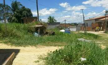 Imagem 5: Madre de Deus Terreno