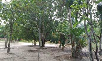 Imagem 2: Terreno 75x300 Casa+Poço Artesiano! - CASTANHAL PA