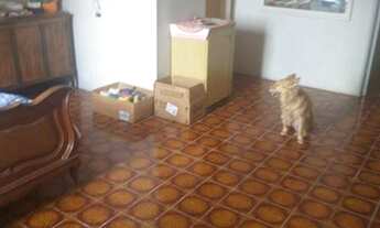 Imagem 7: Casa com 3 dormitórios à venda, 159 m² por R$ 430.000,00 - Pestana - Osasco/SP