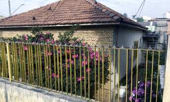 Imagem 2: São Paulo - Casa Padrão - JARDIM ARTUR ALVIM