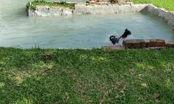 Imagem 2: PAROBE - Sítio - SANTA CRISTINA DO PINHAL