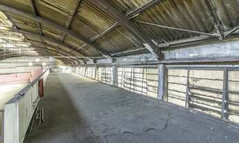 Imagem 3: Galpão/Depósito/Armazém para aluguel com 5946m² na Vila Leopoldina - SP/ SP metros quadrad